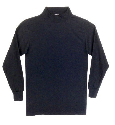 security mock turtleneck